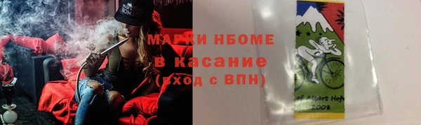 хмурый Долгопрудный