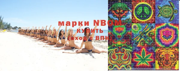 шишки Новый Уренгой